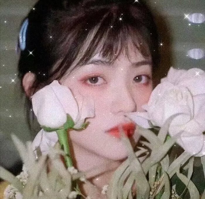龙牌之谜